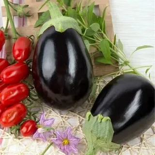 راهنمای خرید بادمجان دلمه ای بزرگ + قیمت عالی